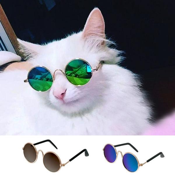 Fashion Cat Sunglasses Pet Accessories Summer