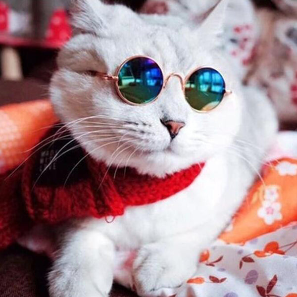 Fashion Cat Sunglasses Pet Accessories Summer