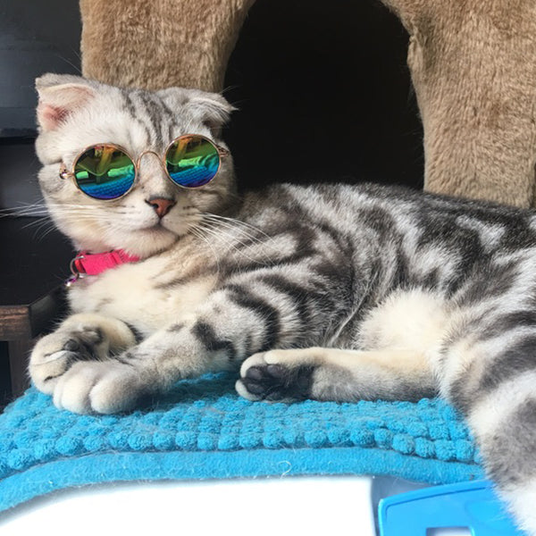 Fashion Cat Sunglasses Pet Accessories Summer