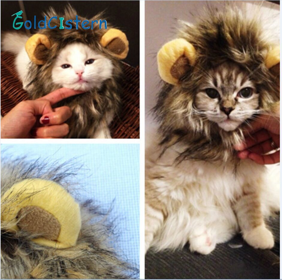 Funny Cute Cat Costume Cosplay Lion