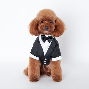 Cute Gentleman Wedding Suit For Pet