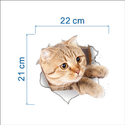 3D Cats Wall Funny Stickers Toilet Stickers