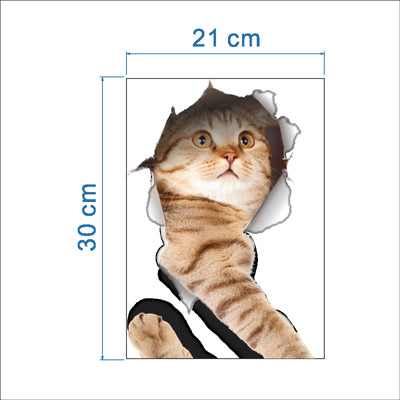 3D Cats Wall Funny Stickers Toilet Stickers