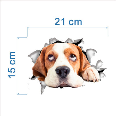 3D Cats Wall Funny Stickers Toilet Stickers