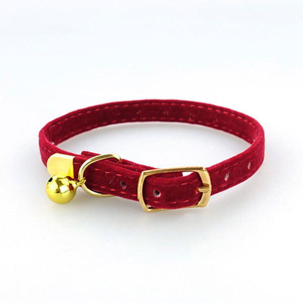 High Quality Adjustable  Collar for Small Dogs / Cats