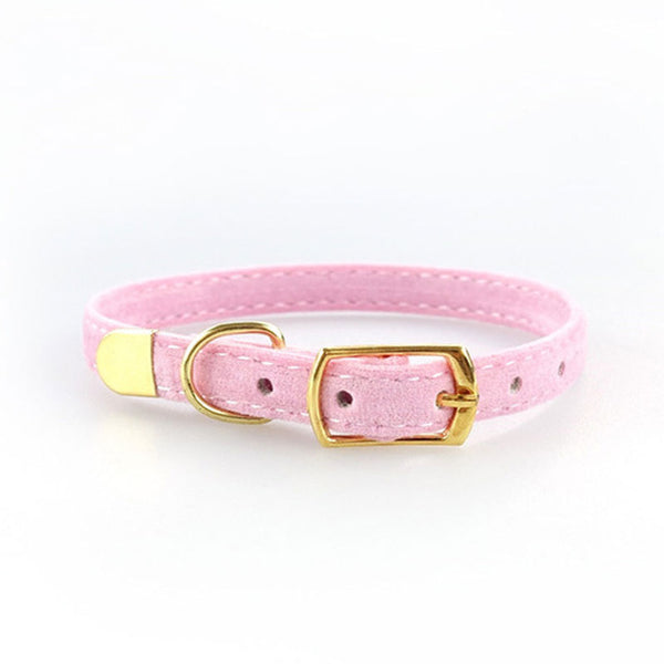 High Quality Adjustable  Collar for Small Dogs / Cats