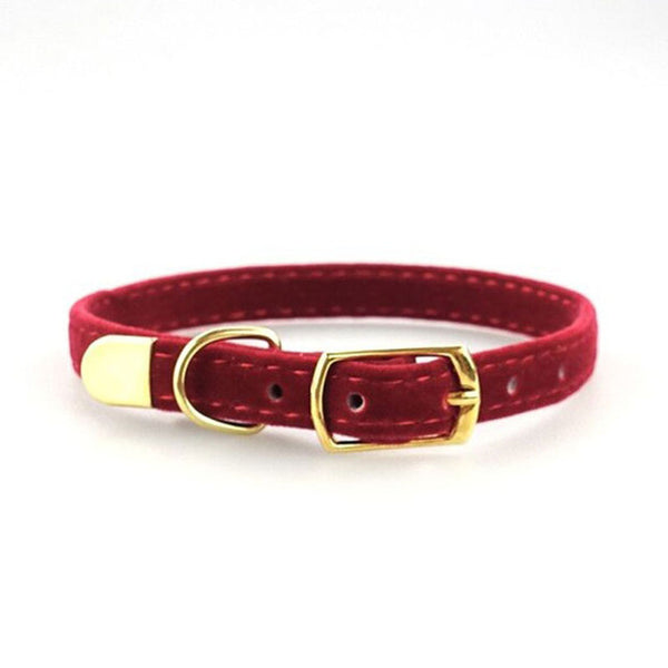 High Quality Adjustable  Collar for Small Dogs / Cats