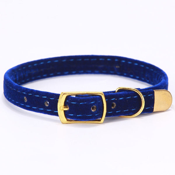 High Quality Adjustable  Collar for Small Dogs / Cats