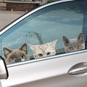 3d Cats Sticker For Car