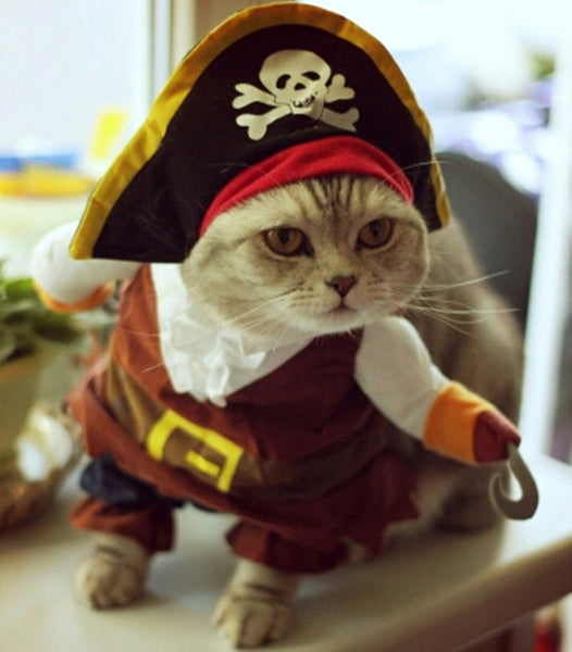 Funny Cat Clothes Costume Suit