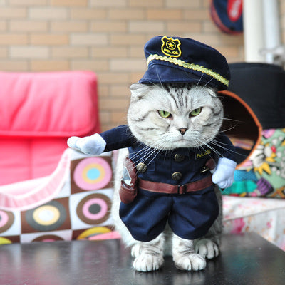 Funny Cat Clothes Costume Suit