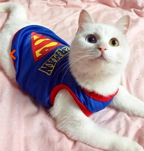 Funny Cat Clothes Costume Suit